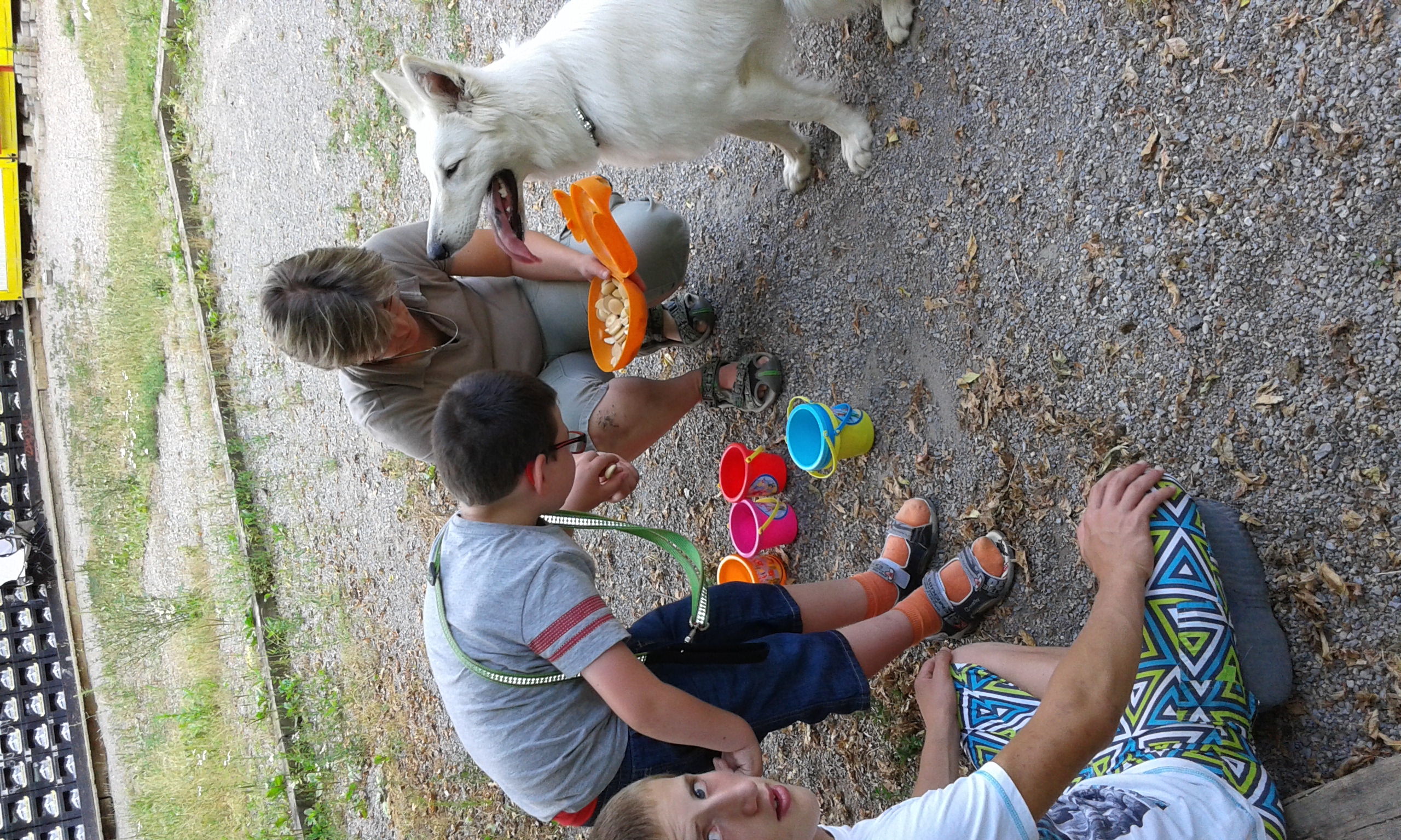 Leto 2015.20150721_164005
